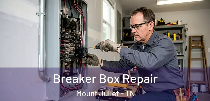 Breaker Box Repair Mount Juliet - TN