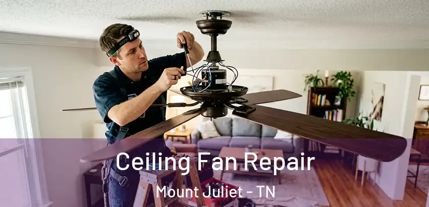 Ceiling Fan Repair Mount Juliet - TN