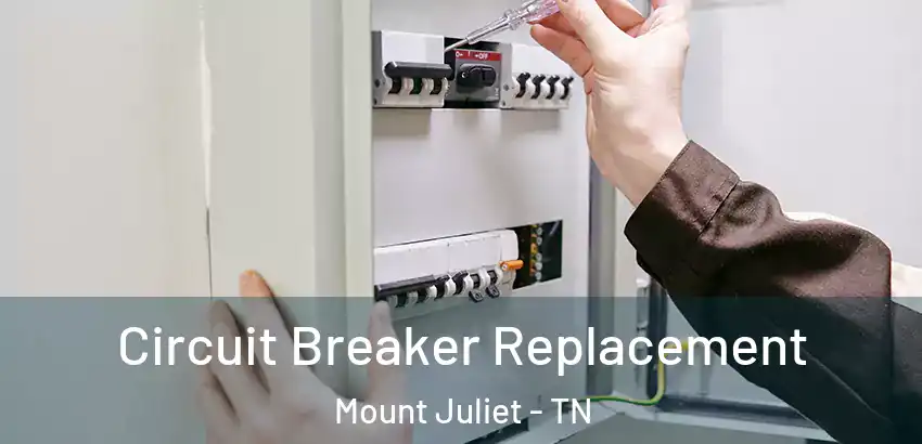  Circuit Breaker Replacement Mount Juliet - TN