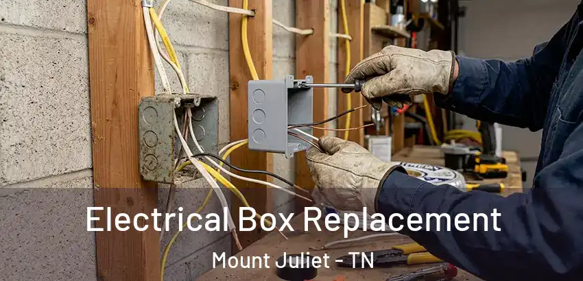  Electrical Box Replacement Mount Juliet - TN