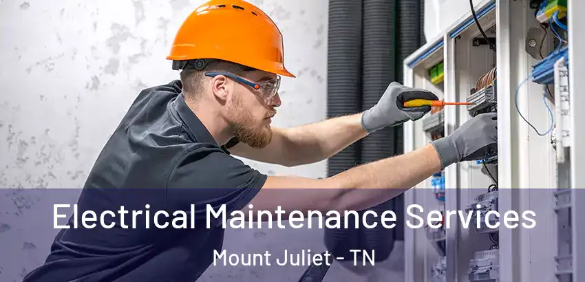 Electrical Maintenance Services Mount Juliet - TN