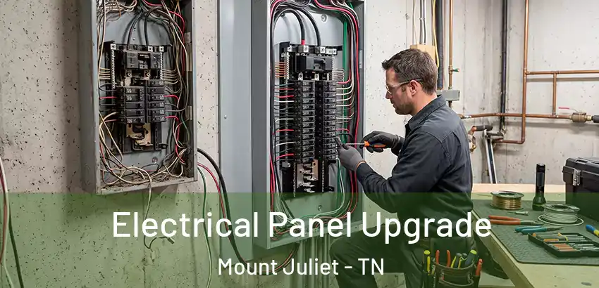  Electrical Panel Upgrade Mount Juliet - TN