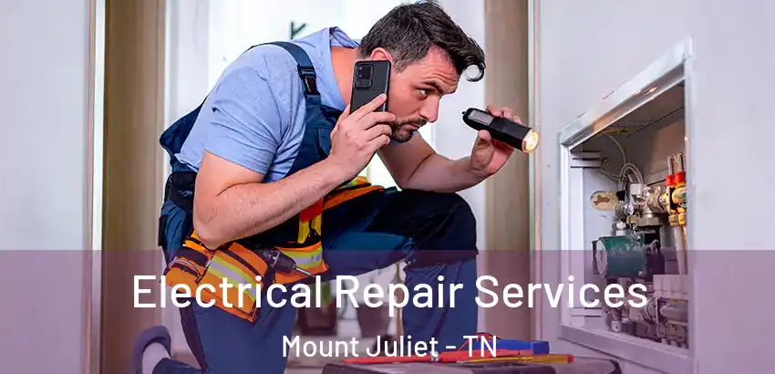  Electrical Repair Services Mount Juliet - TN