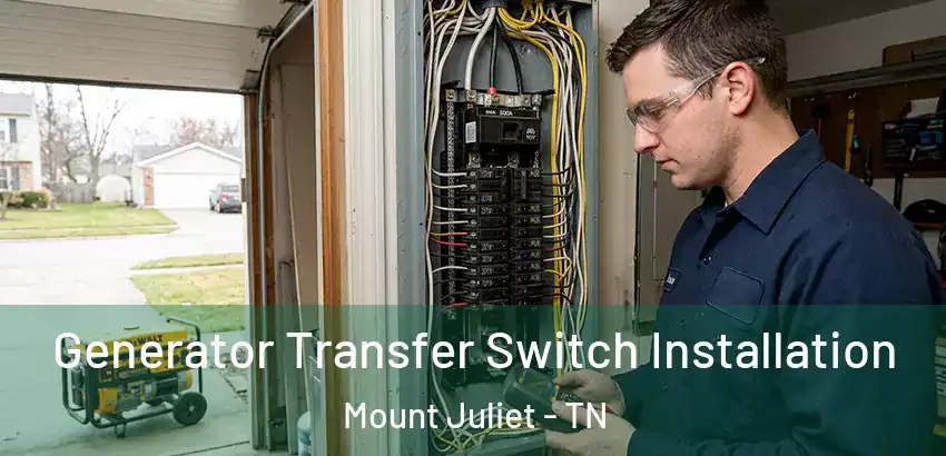 Generator Transfer Switch Installation Mount Juliet - TN