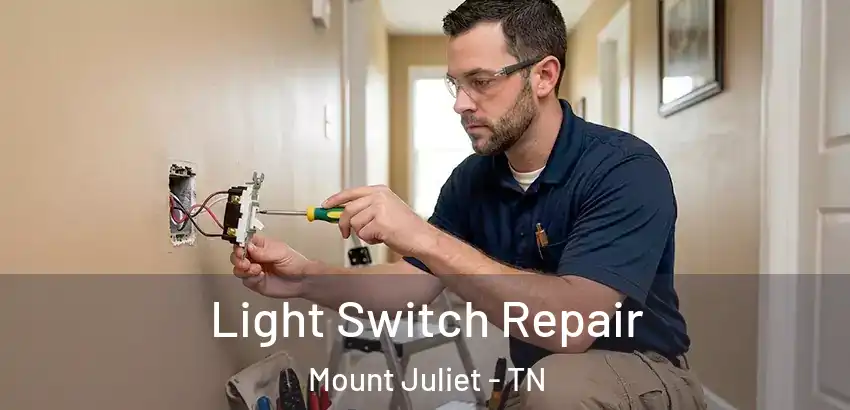  Light Switch Repair Mount Juliet - TN