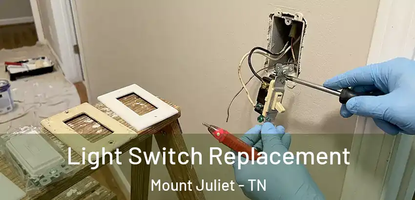  Light Switch Replacement Mount Juliet - TN