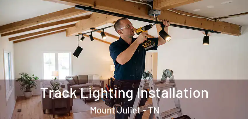 Track Lighting Installation Mount Juliet - TN