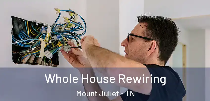 Whole House Rewiring Mount Juliet - TN