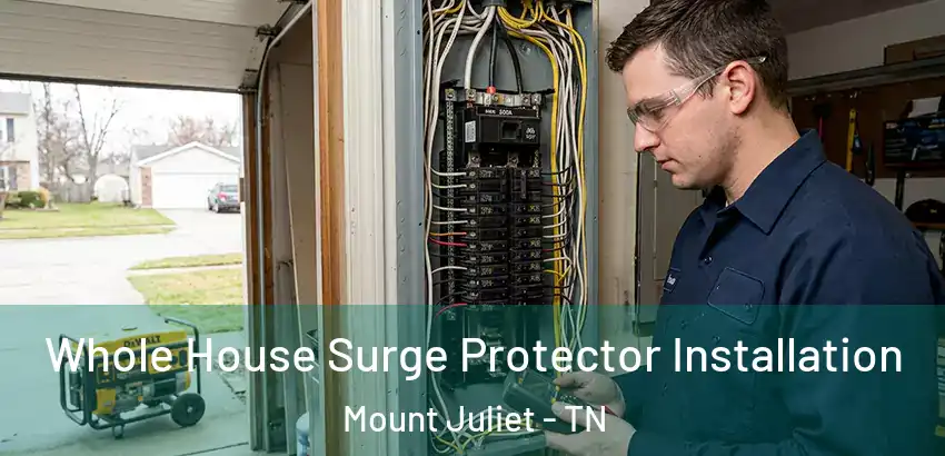  Whole House Surge Protector Installation Mount Juliet - TN
